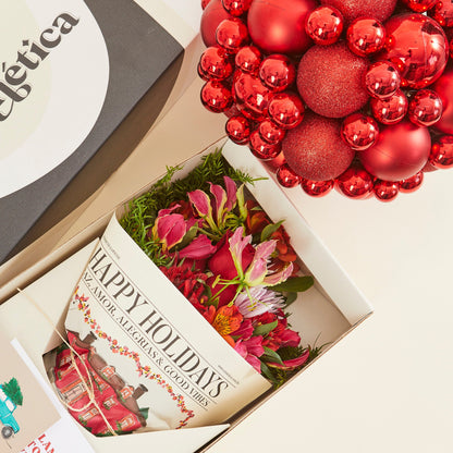 CAIXA ERMETICA NATAL