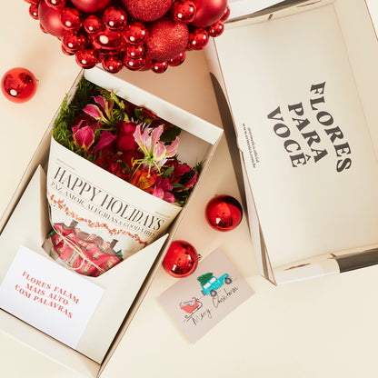 CAIXA ERMETICA NATAL